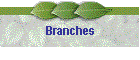 Branches